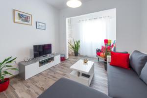 TV a/nebo společenská místnost v ubytování Apartment Ruzica