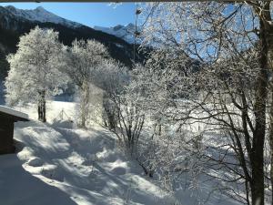 a snow covered field with trees and mountains at Bergchalet Ullmannwies in Bad Gastein