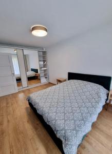 1 dormitorio con 1 cama y 1 habitación con espejo en Lily Central Apartment with free parking, en Târgu Mureș