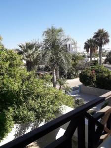 a view of a balcony with palm trees and a building at SEAFRONT BEACH PARTY VILLA in Perivolia