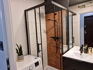 Fotografia z galérie ubytovania Podzamcze No 1 APARTMENT v destinácii Wałbrzych