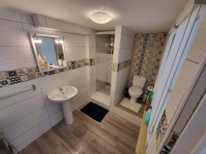 a bathroom with a sink and a toilet and a shower at The Studio, in Saint-Rabier