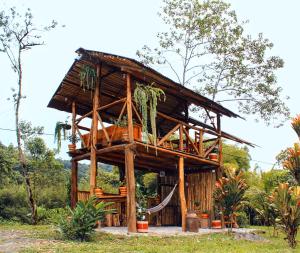 a tree house with a hammock in it at Senz Chalet Riverside - Mindo in Mindo
