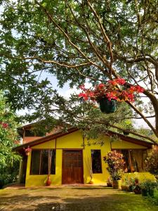 Senz Chalet Riverside - Mindo في ميندو: منزل أصفر مع وعاء الزهور معلق من شجرة