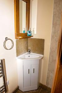 a bathroom with a white sink and a mirror at Loxleys Lodge in Newark-on-Trent