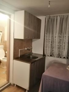 Apartmani Radivojevic في كرالييفو: مطبخ صغير مع حوض ومرحاض