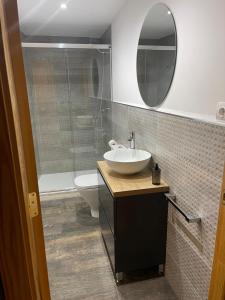 a bathroom with a sink and a toilet and a mirror at Loft Casa Bergua in Arguis