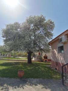 Zahrada ubytování Αξέχαστη διαμονή - Unforgettable accommodation