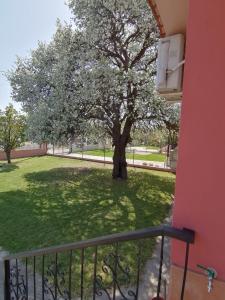 Zahrada ubytování Αξέχαστη διαμονή - Unforgettable accommodation