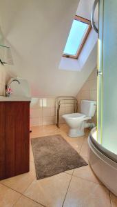 a bathroom with a toilet and a sink and a skylight at Dom letniskowy Narie in Morąg +25 photos
