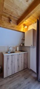 - une cuisine avec un évier et un comptoir dans l'établissement Guest House Etno selo Trbović, à Gornji Milanovac
