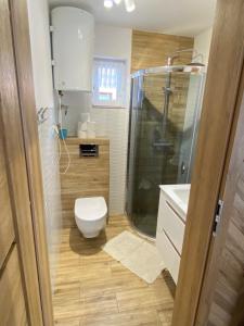 a bathroom with a shower and a toilet and a sink at Wczasy u Reni in Kopalino +29 photos