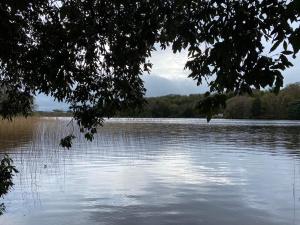 uma grande massa de água com árvores ao fundo em Lilac Manor em Sligo