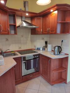 a kitchen with wooden cabinets and a stove top oven at Apartament Pod Lasem in Police +13 photos