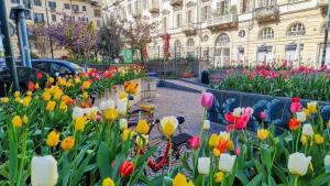 un jardin de fleurs colorées devant un bâtiment dans l'établissement L'ango-letto industriale del Quadrilatero Romano, à Turin