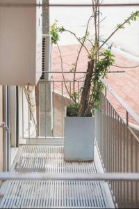 una pianta in un vaso sul balcone di Stylish living by Acropolis (Monastiraki 5) ad Atene