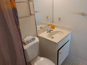 a bathroom with a sink and a toilet and a mirror at Melbourne Beach Florida Townhouse ocean front 1.2 acre property in Melbourne Beach +28 photos