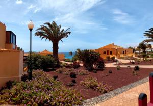 a park with a palm tree and flowers and a street light at GRANI MAR in Costa Calma