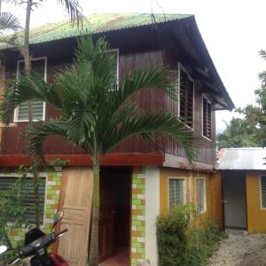 a house with a palm tree in front of it at HFA Bldg in Sipalay