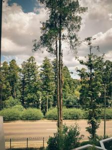 a view of a parking lot with trees and a fence at Apto Fofo in Gramado