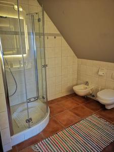 ein Bad mit einer Dusche und einem WC in der Unterkunft Reethaus mit Meerblick- In 30 Sekunden am Strand in Boltenhagen