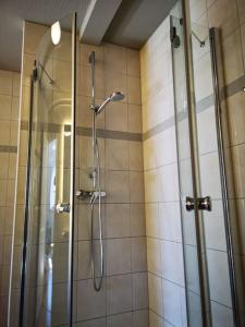 y baño con ducha y puerta de cristal. en Reethaus mit Meerblick- In 30 Sekunden am Strand, en Boltenhagen
