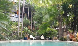 a swimming pool with chairs and palm trees at Alaya Escape in Eudlo