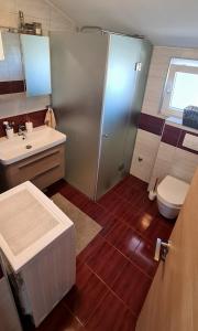 La salle de bains est pourvue d'une douche, de toilettes et d'un lavabo. dans l'établissement Apartment Tena, à Privlaka