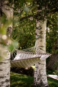 a hammock hanging between two trees in a garden at Vanha pappila Hetki Oy in Ähtäri
