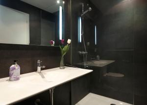 uma casa de banho com um lavatório e um espelho em Apartaments Olivier Barcelona em Barcelona