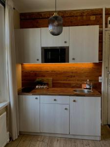 Una cocina o kitchenette en Hipster’s Kalamaja Studio Apartment