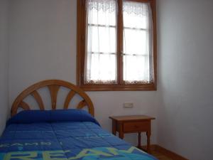 Afbeelding uit fotogalerij van Apartamentos Los Tilos in Benasque