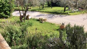 Zahrada ubytování Locazione Turistica sita in via Ponte di Ferro 2 a Gualdo Cattaneo