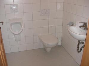 a bathroom with a toilet and a sink and a urinal at Hausbergerhof Gästehaus Ainberger in Brixlegg