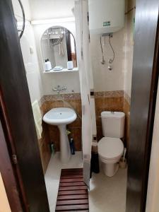 蒂瓦特的住宿－Romana 1，一间带卫生间和水槽的小浴室