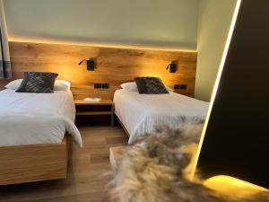 a bedroom with two beds and a cat in a mirror at Family Hotel La Perla in Fiera di Primiero