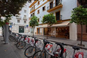 Jazda na bicykli v okolí ubytovania PIKIS Apartment center 1