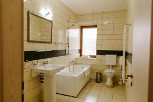 een badkamer met een wastafel, een bad en een toilet bij Casa Maria Magdalena in Lipova