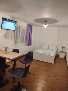 a room with a bed and a table and chairs at GARSONIERA DANIA&PETRU 1 in Tîrgu Ocna