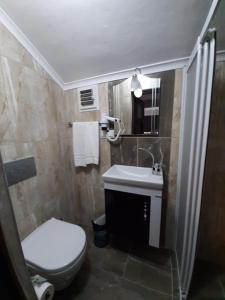 a small bathroom with a toilet and a sink at Alya Suite Hotel in Trabzon
