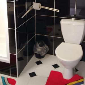 Koupelna v ubytování Apartmán Soběslav