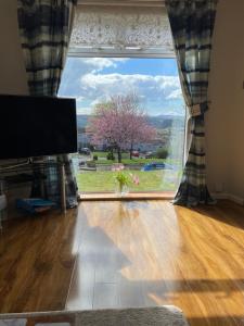 a room with a large window with a view of a tree at Dumbarton With A View in Dumbarton