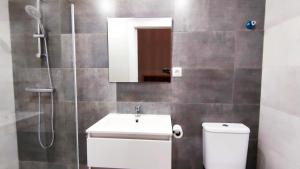 łazienka z toaletą, umywalką i prysznicem w obiekcie Deluxe Palace - Alojamientos La Torre w mieście Torre del Mar
