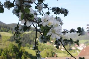 Afbeelding uit fotogalerij van Ferienhof Brutoni in Bad Peterstal-Griesbach