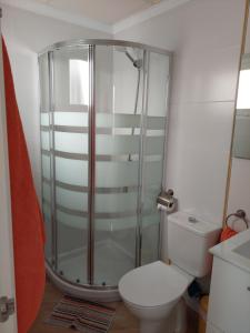 een badkamer met een douche en een toilet bij Ático by Alhaurín Loft City Center in Alhaurín de la Torre
