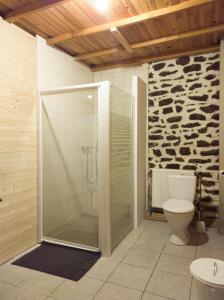 a bathroom with a shower and a toilet at la Bouinotte du Berry in Villegenon