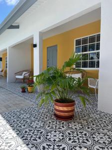 a porch with a potted plant on a tile floor at J&L Resort in Willemstad