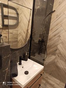 a bathroom with a shower and a white sink at Park Redena Katowice/Chorzów in Chorzów