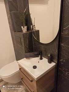een badkamer met een wastafel, een spiegel en een toilet bij Park Redena Katowice/Chorzów in Chorzów