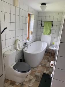 a bathroom with a tub and a toilet and a sink at Green place in Žetale